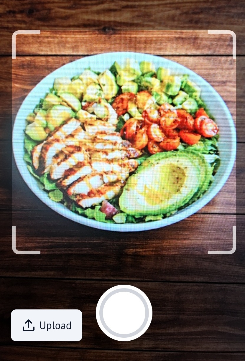 Take a picture, AI will log your meal or food item.